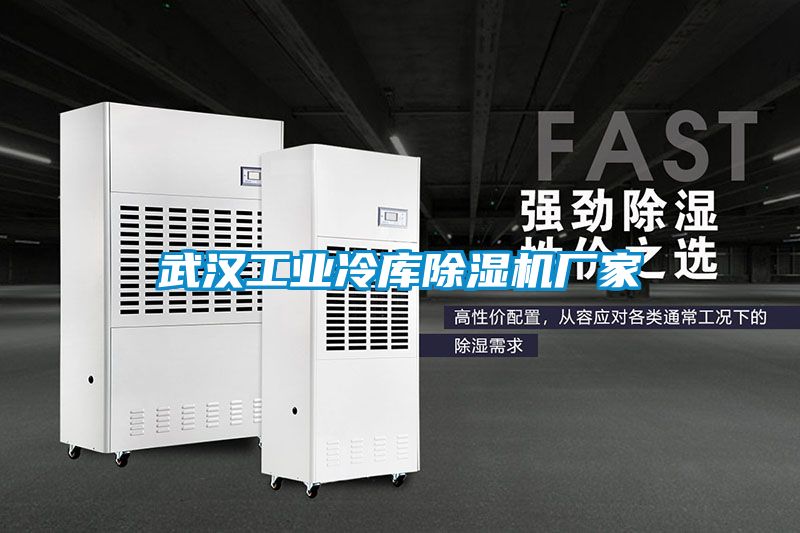 武漢工業冷庫除濕機廠家