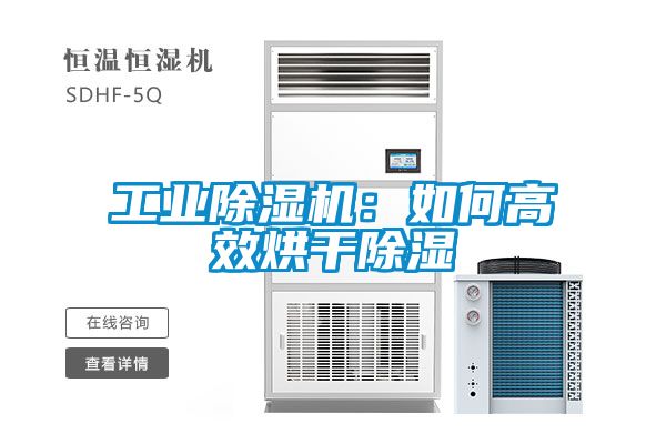 工業除濕機：如何高效烘干除濕