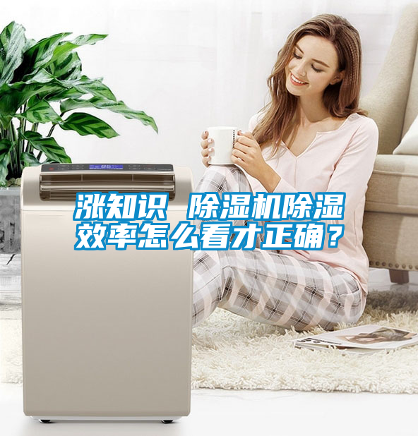 漲知識 除濕機除濕效率怎么看才正確？