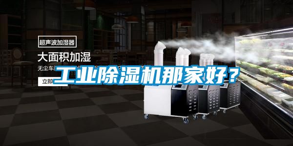 工業(yè)除濕機(jī)那家好？