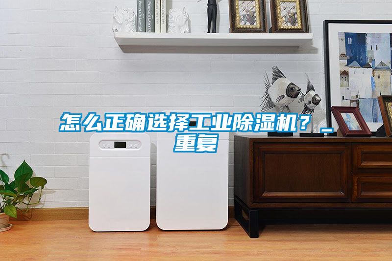 怎么正確選擇工業除濕機？_重復