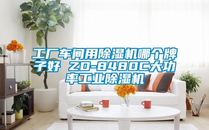 工廠車間用除濕機哪個牌子好 ZD-8480C大功率工業除濕機