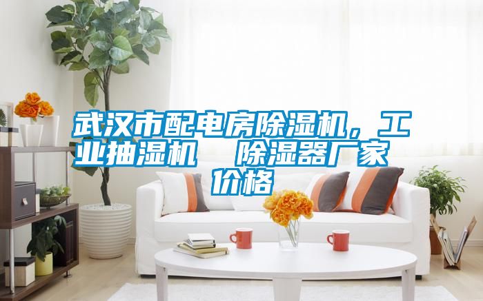 武漢市配電房除濕機(jī)，工業(yè)抽濕機(jī)  除濕器廠家 價格