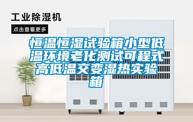 恒溫恒濕試驗箱小型低溫環(huán)境老化測試可程式高低溫交變濕熱實驗箱