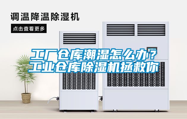 工廠倉(cāng)庫(kù)潮濕怎么辦？工業(yè)倉(cāng)庫(kù)除濕機(jī)拯救你