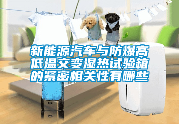 新能源汽車與防爆高低溫交變濕熱試驗箱的緊密相關性有哪些