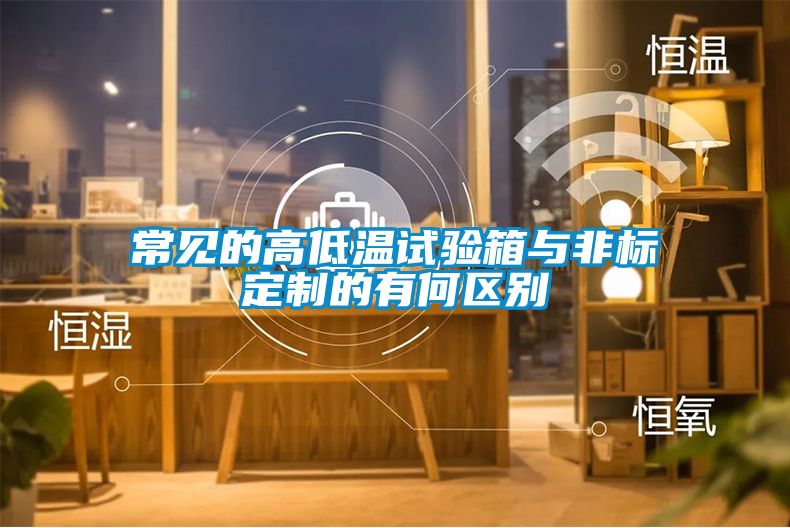 常見的高低溫試驗箱與非標定制的有何區別