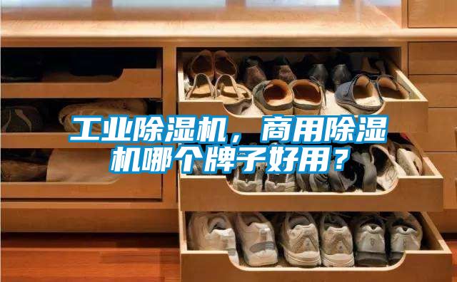 工業除濕機，商用除濕機哪個牌子好用？