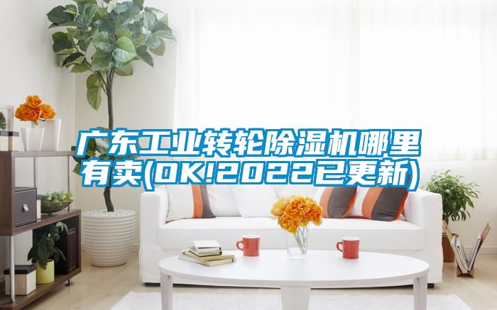 廣東工業轉輪除濕機哪里有賣(OK!2022已更新)