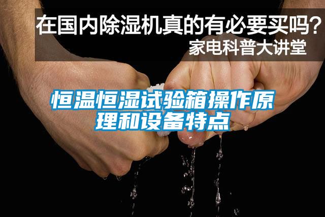 恒溫恒濕試驗(yàn)箱操作原理和設(shè)備特點(diǎn)