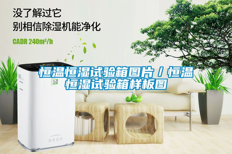 恒溫恒濕試驗箱圖片／恒溫恒濕試驗箱樣板圖