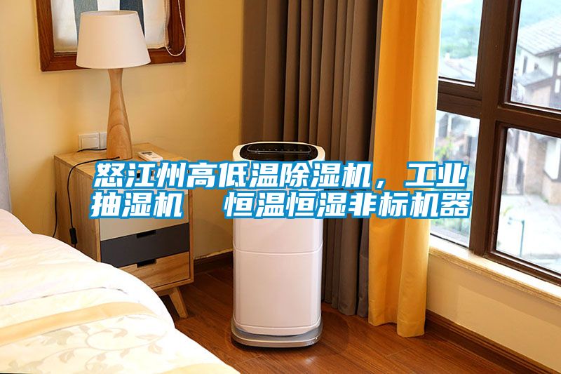 怒江州高低溫除濕機，工業抽濕機  恒溫恒濕非標機器