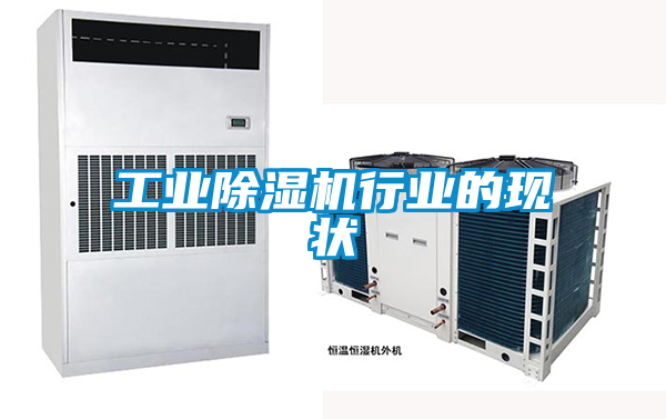 工業除濕機行業的現狀