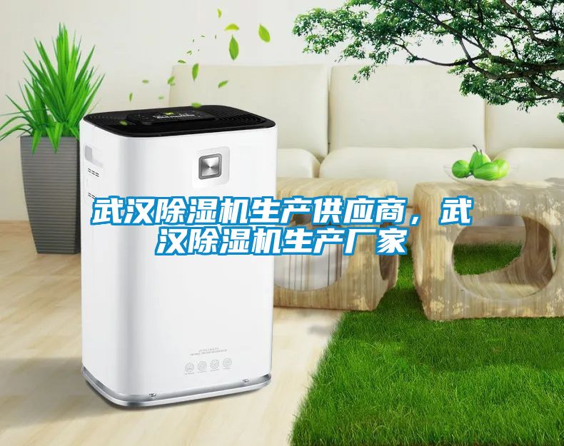 武漢除濕機生產供應商，武漢除濕機生產廠家