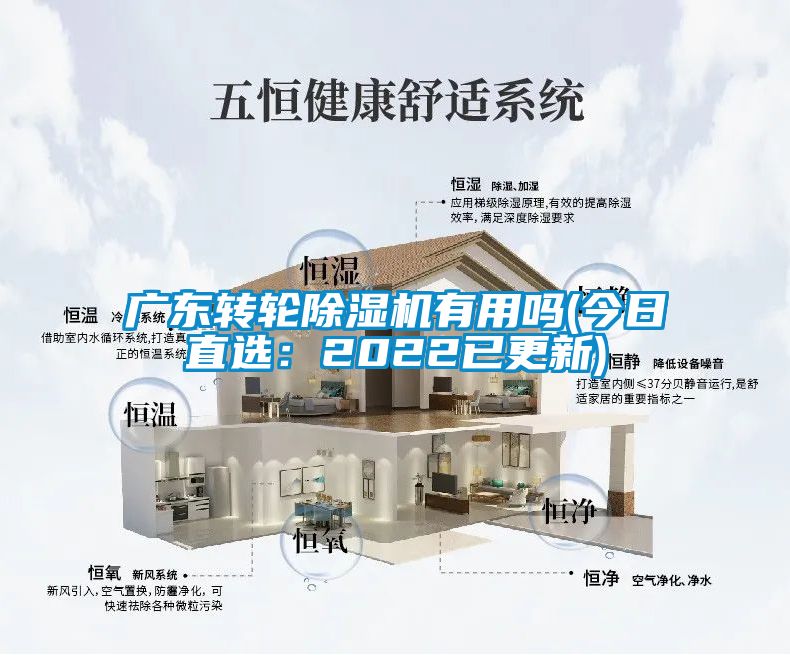 廣東轉輪除濕機有用嗎(今日直選：2022已更新)