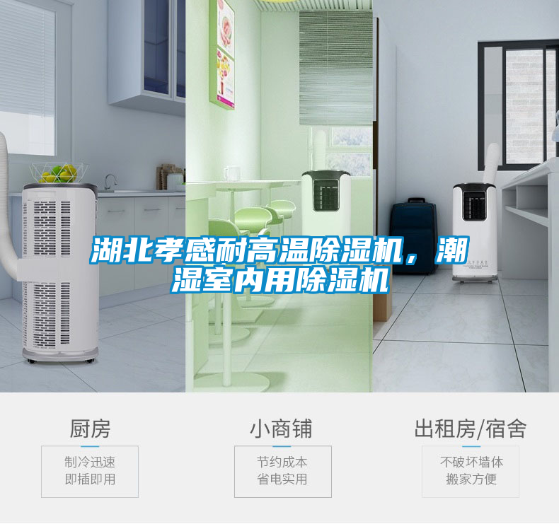 湖北孝感耐高溫除濕機，潮濕室內(nèi)用除濕機