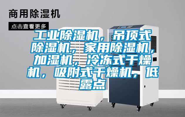 工業除濕機，吊頂式除濕機，家用除濕機，加濕機，冷凍式干燥機，吸附式干燥機，低露點