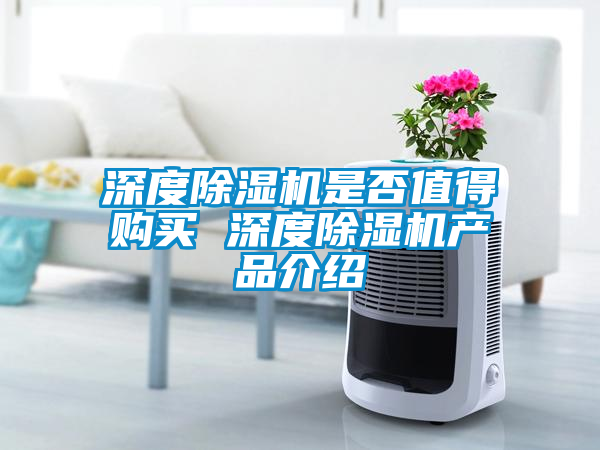 深度除濕機是否值得購買 深度除濕機產品介紹