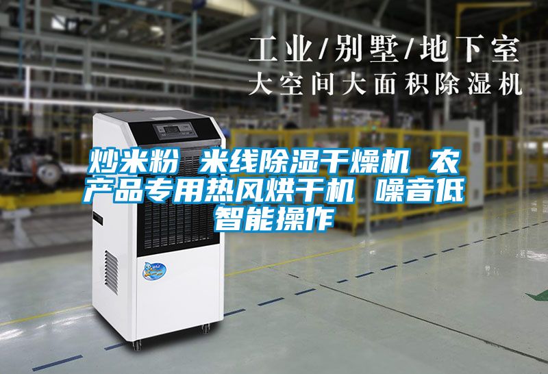 炒米粉 米線除濕干燥機 農產品專用熱風烘干機 噪音低智能操作