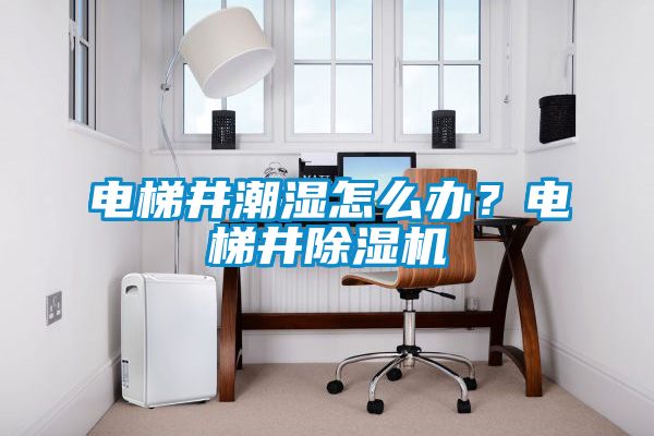 電梯井潮濕怎么辦？電梯井除濕機