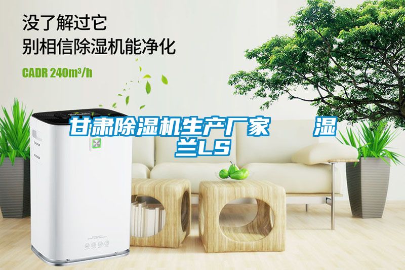 甘肅除濕機生產廠家   濕蘭LS