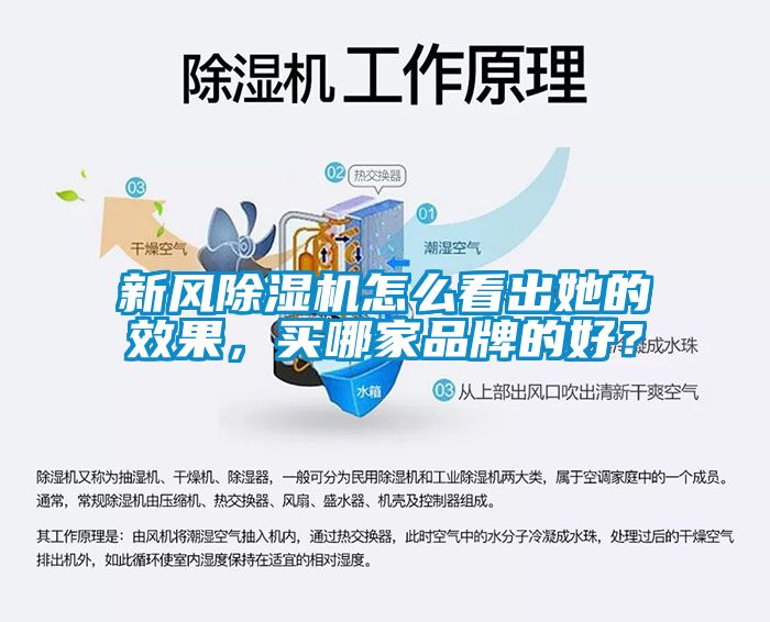 新風(fēng)除濕機(jī)怎么看出她的效果，買哪家品牌的好？