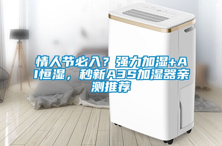 情人節必入？強力加濕+AI恒濕，秒新A3S加濕器親測推薦
