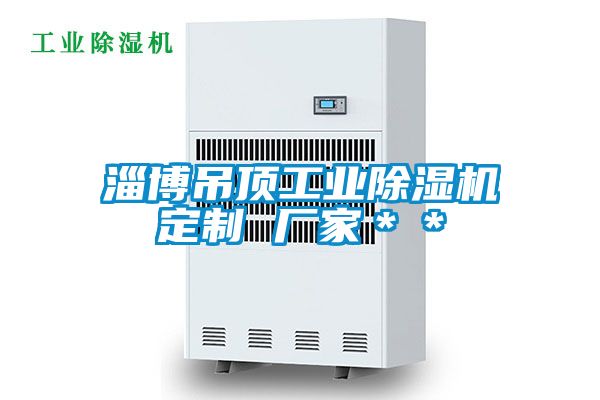 淄博吊頂工業除濕機定制 廠家＊＊