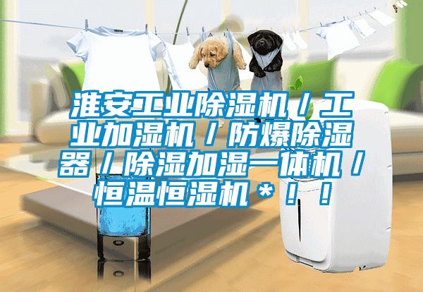 淮安工業(yè)除濕機(jī)／工業(yè)加濕機(jī)／防爆除濕器／除濕加濕一體機(jī)／恒溫恒濕機(jī)＊！！