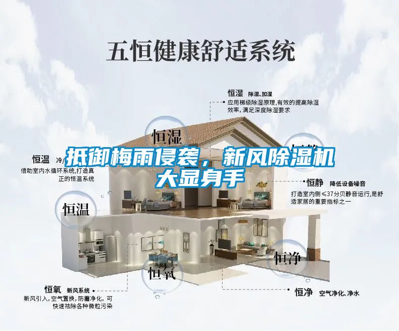 抵御梅雨侵襲，新風除濕機大顯身手