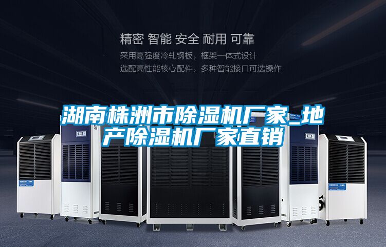 湖南株洲市除濕機(jī)廠(chǎng)家_地產(chǎn)除濕機(jī)廠(chǎng)家直銷(xiāo)
