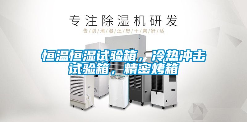 恒溫恒濕試驗箱，冷熱沖擊試驗箱，精密烤箱