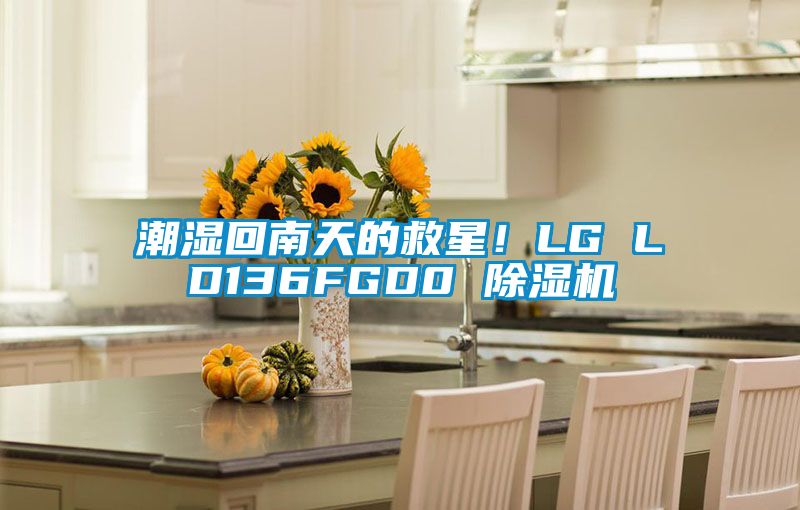 潮濕回南天的救星！LG LD136FGD0 除濕機