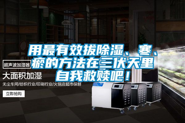 用最有效拔除濕、寒、瘀的方法在三伏天里自我救贖吧！
