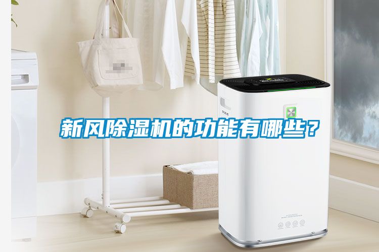 新風除濕機的功能有哪些？