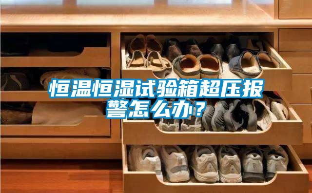 恒溫恒濕試驗箱超壓報警怎么辦？