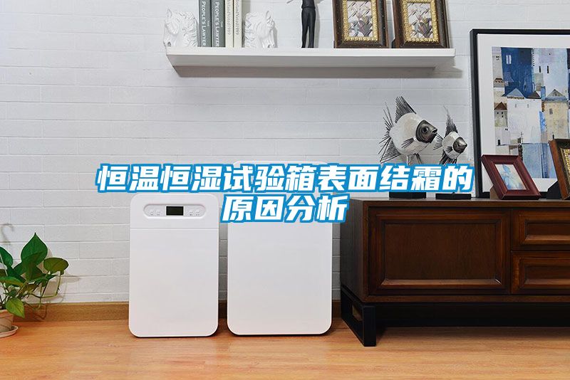 恒溫恒濕試驗箱表面結霜的原因分析