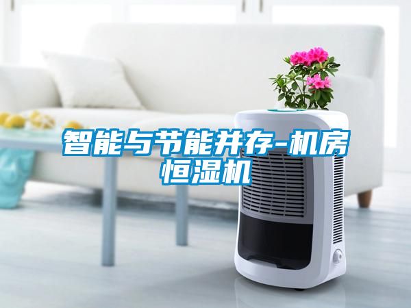 智能與節能并存-機房恒濕機