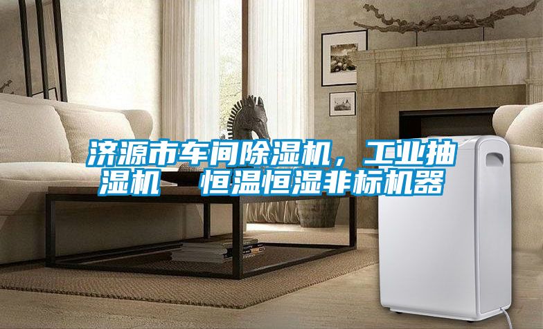 濟源市車間除濕機，工業(yè)抽濕機  恒溫恒濕非標機器