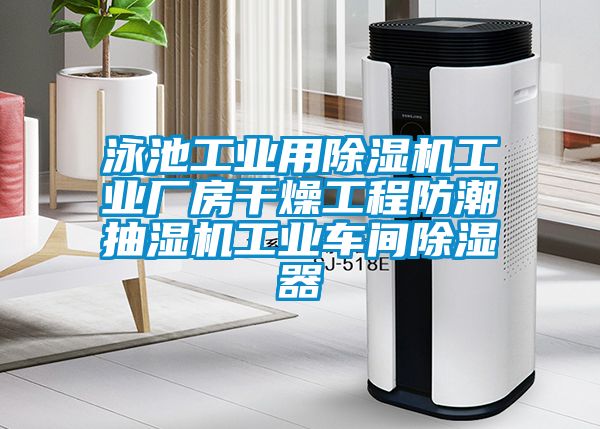 泳池工業用除濕機工業廠房干燥工程防潮抽濕機工業車間除濕器