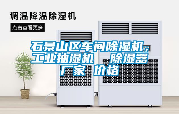 石景山區(qū)車間除濕機(jī)，工業(yè)抽濕機(jī)  除濕器廠家 價格