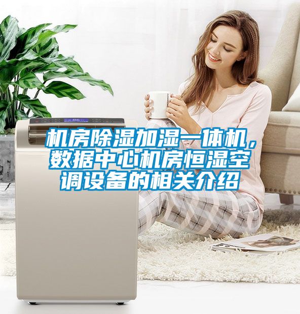 機房除濕加濕一體機，數據中心機房恒濕空調設備的相關介紹