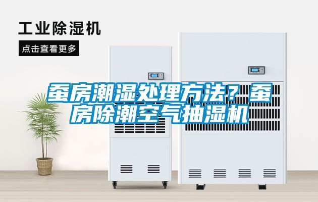 蠶房潮濕處理方法？蠶房除潮空氣抽濕機