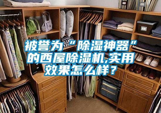 被譽(yù)為“除濕神器”的西屋除濕機(jī),實(shí)用效果怎么樣？