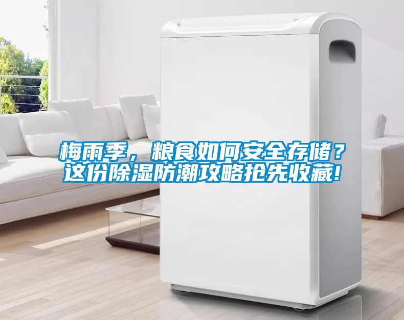 梅雨季，糧食如何安全存儲？這份除濕防潮攻略搶先收藏!