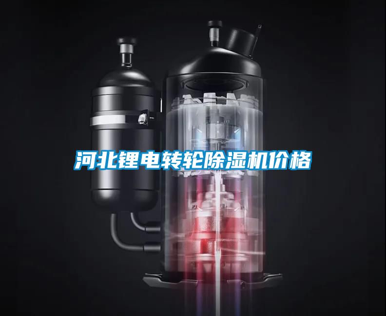 河北鋰電轉輪除濕機價格