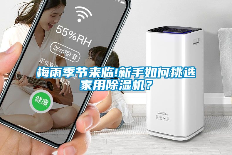 梅雨季節來臨!新手如何挑選家用除濕機？