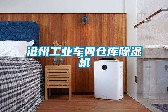 滄州工業車間倉庫除濕機