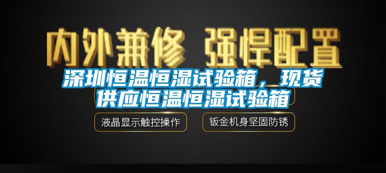 深圳恒溫恒濕試驗箱，現貨供應恒溫恒濕試驗箱
