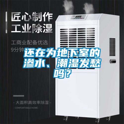 還在為地下室的滲水、潮濕發愁嗎？